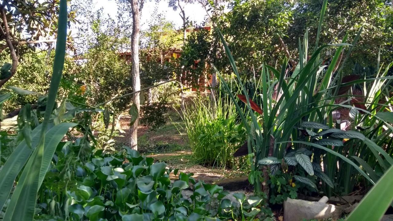 Ecohousing Gaia Terranova Hospedagem Eco Pet Friendly Piranguinho Экстерьер фото