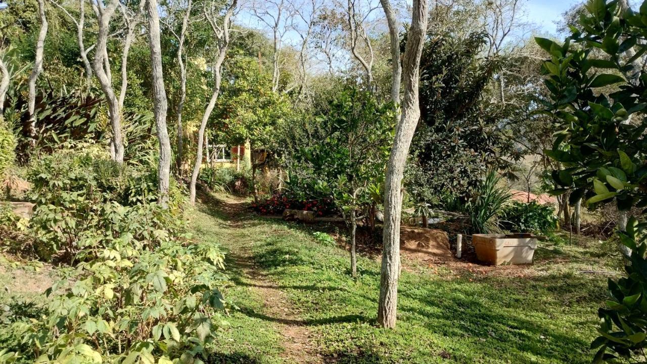 Ecohousing Gaia Terranova Hospedagem Eco Pet Friendly Piranguinho Экстерьер фото