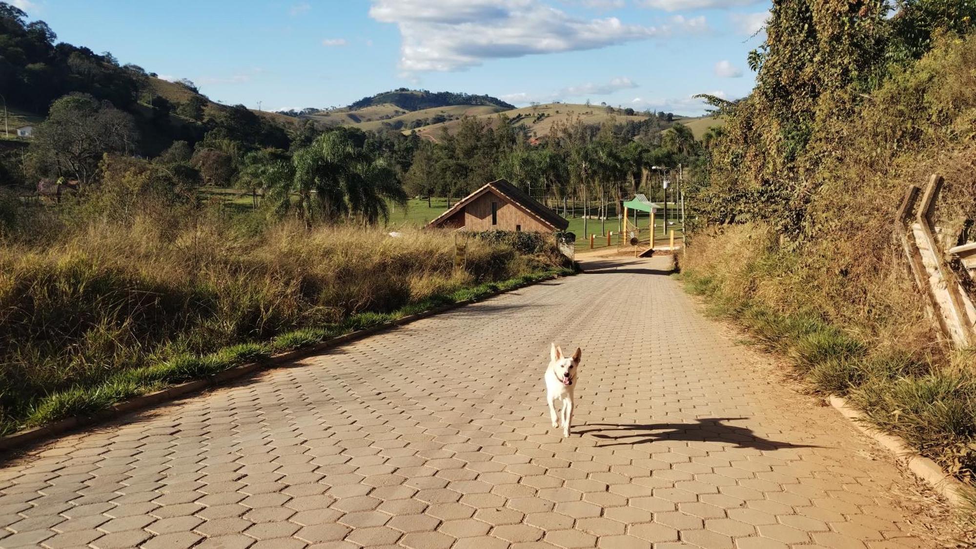 Ecohousing Gaia Terranova Hospedagem Eco Pet Friendly Piranguinho Экстерьер фото